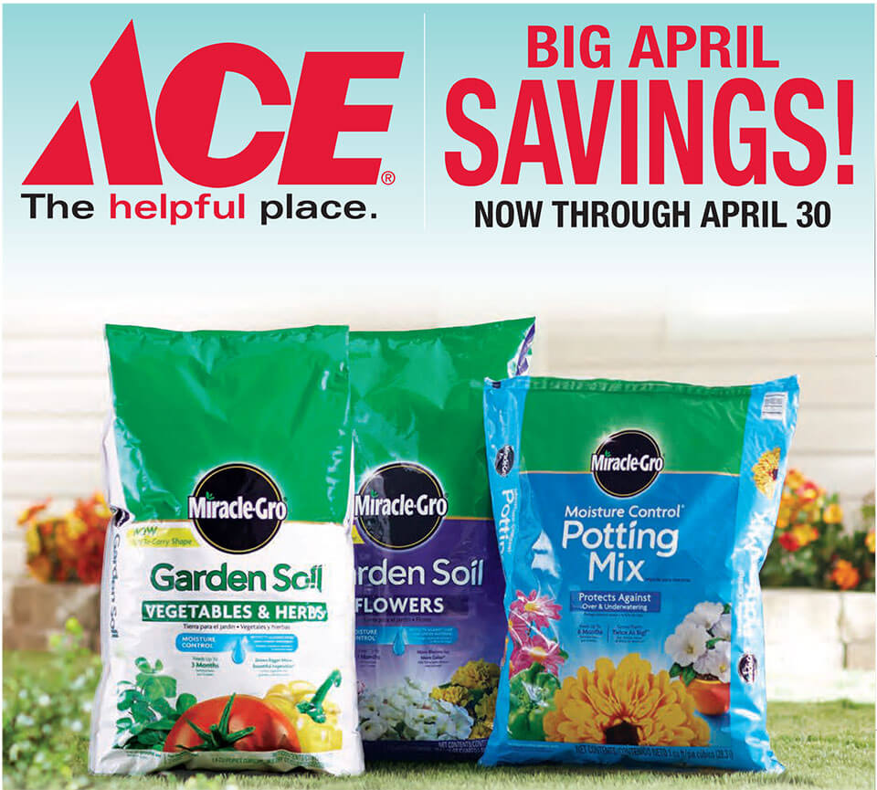 Hot Buys Edmunds Ace Hardware